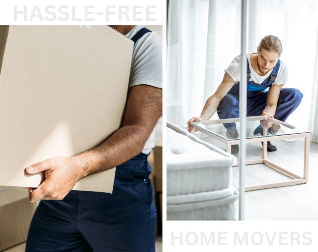 hss movers home moving services